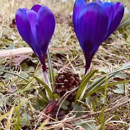 Cozy By The Sea Feriehus *