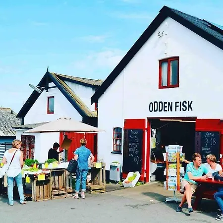 Cozy By The Sea * Yderby