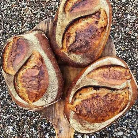 Cozy By The Sea * Yderby