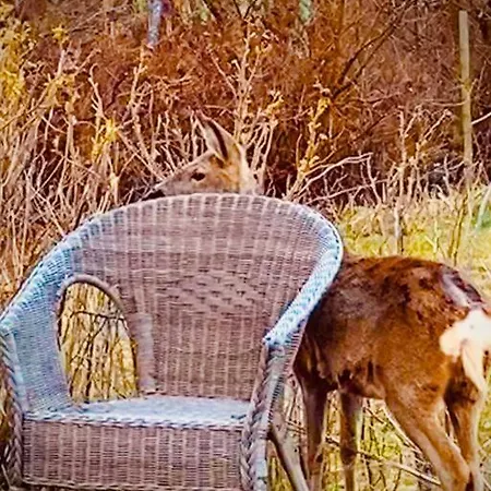 Cozy By The Sea Feriehus